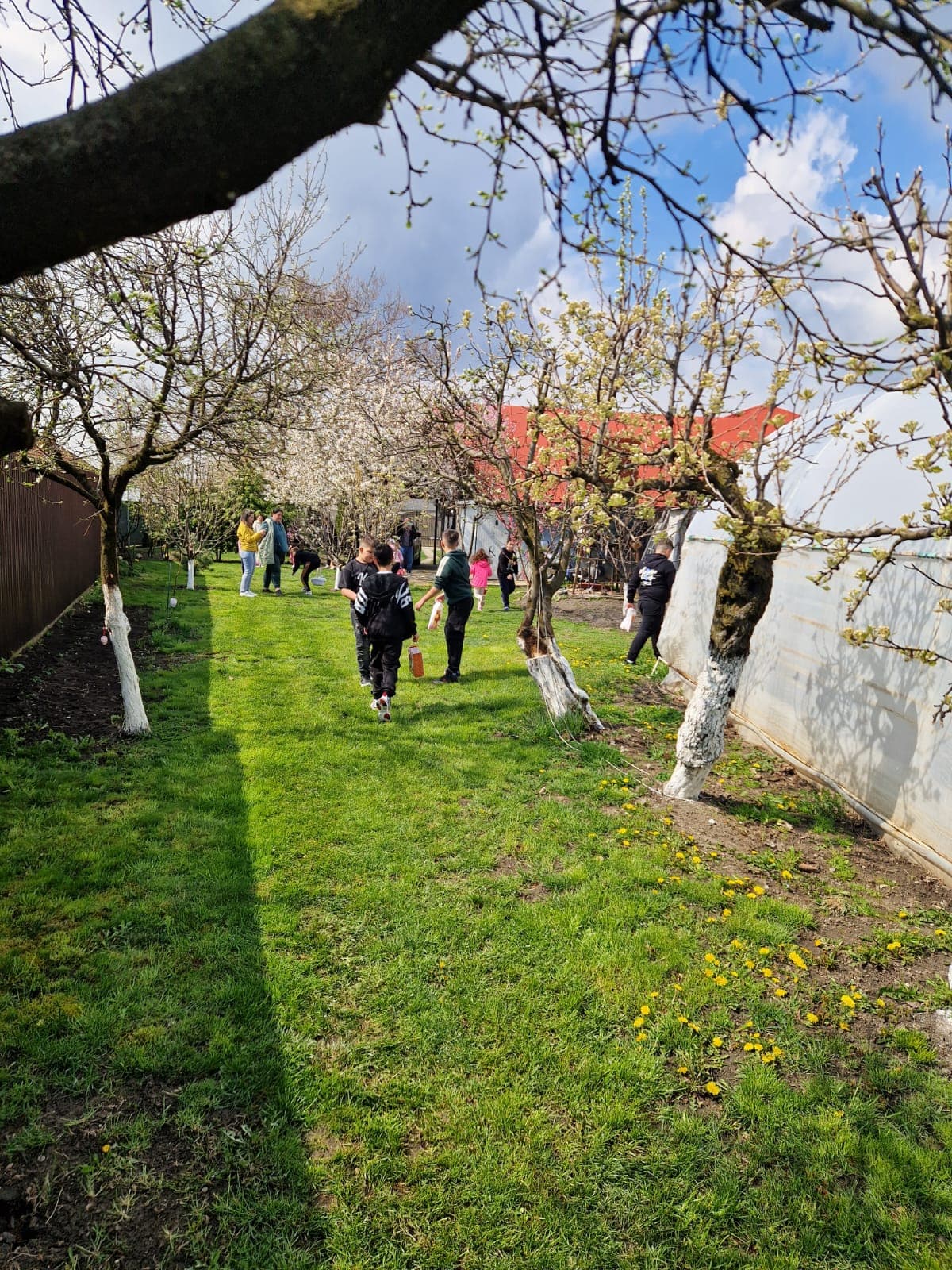 Egg Hunt - fotografie 11