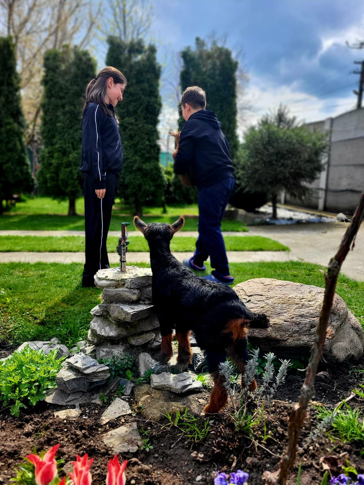 Egg Hunt - fotografie 18