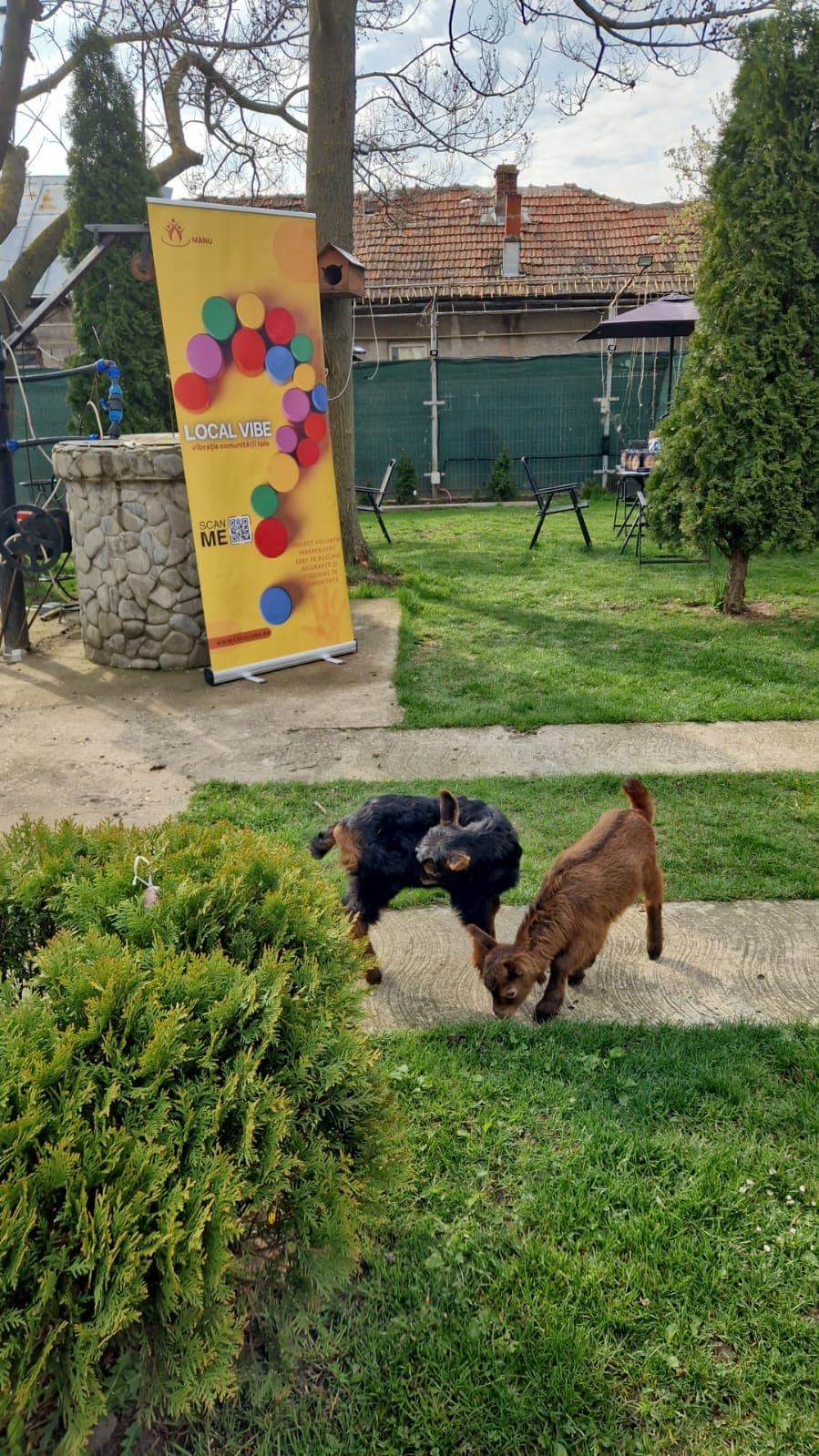 Egg Hunt - fotografie 21