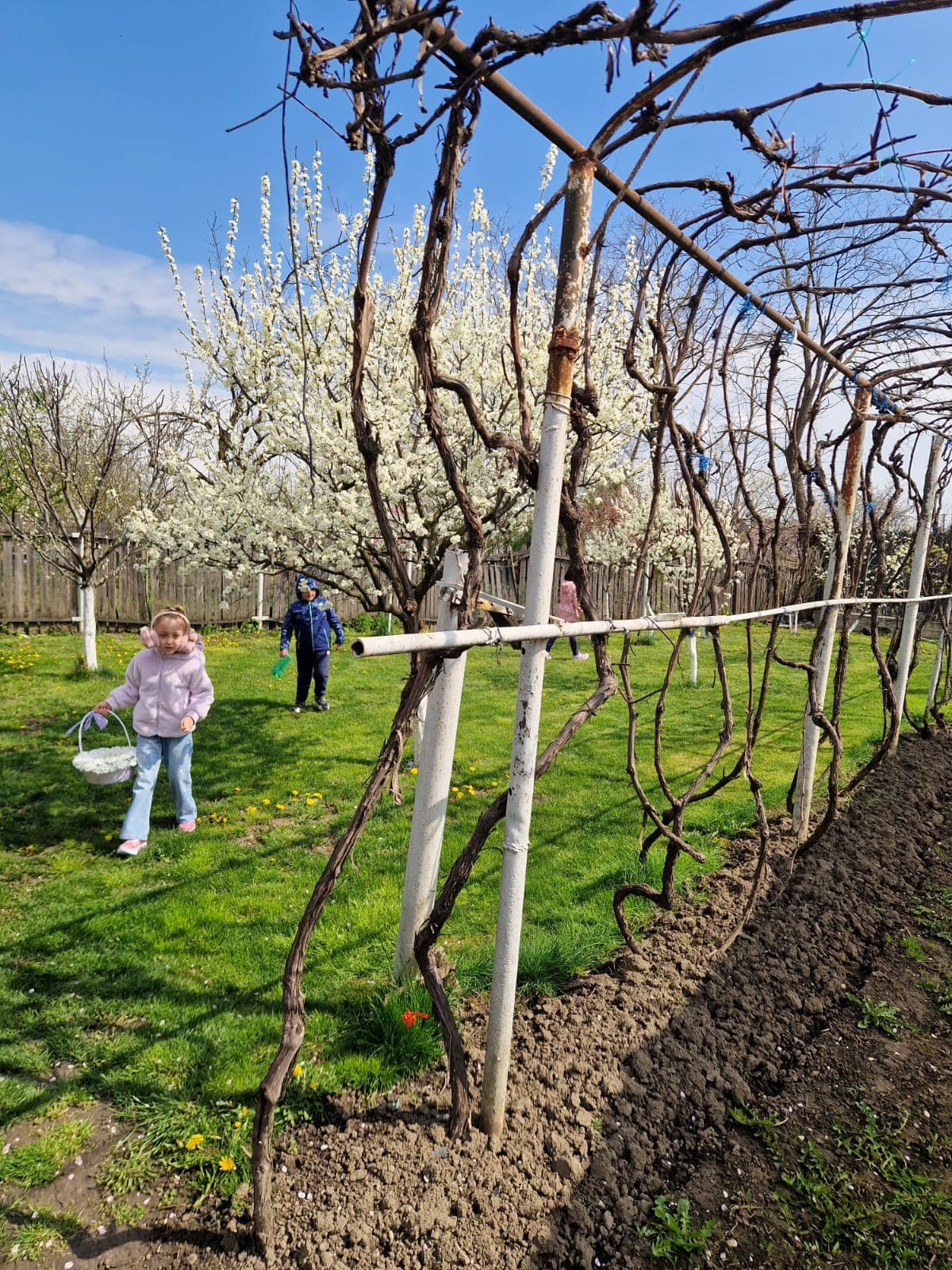 Egg Hunt - fotografie 23